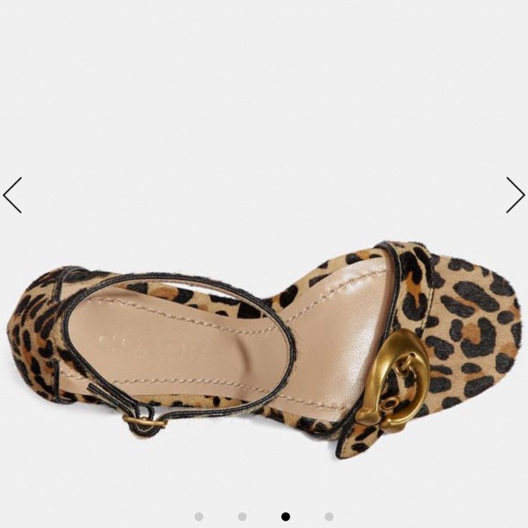Coach | Maya Buckle Calf Hair Leopard Sandal - Picture 6 of 8